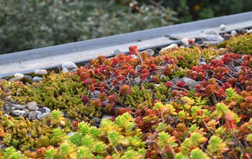 the cost of Lowestoft green roof installation