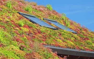 Lowestoft living roof systems